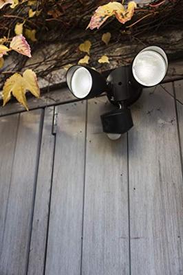 Lutec Draco LED-Sensorlamp Lutec Draco LED-Sensorlamp
