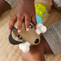 Fisher Price Pets Click & Spin Puppy - thumbnail