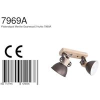 Steinhauer PlafondspotGearwood 2-lichts - 7969A - thumbnail