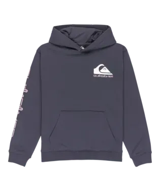 Quicksilver Omni Logo Hoodie Junior