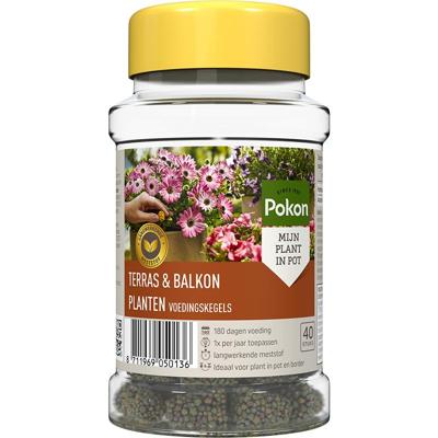 Pokon Terras & Balkon Planten Voedingskegels 40st - 724106