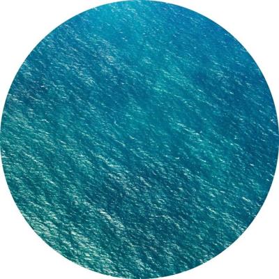 Noordwand Komar Dots Behangcirkel Calm - D1-083