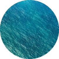 Noordwand Komar Dots Behangcirkel Calm - D1-083 - thumbnail