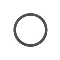 Pakking Thermostaat 394090 - thumbnail