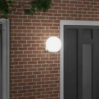 VidaXL Buiten wandlamp zilver 29 x 25 x 33 cm - thumbnail