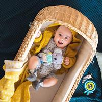 Kimmy the koala - thumbnail