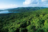 Pentax K-1 Mark II body - thumbnail