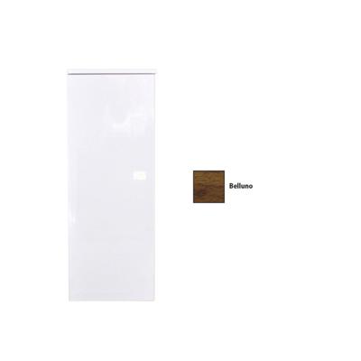 Kolomkast Sanicare Q5 1 Soft-Close Deur 90 cm Belluno