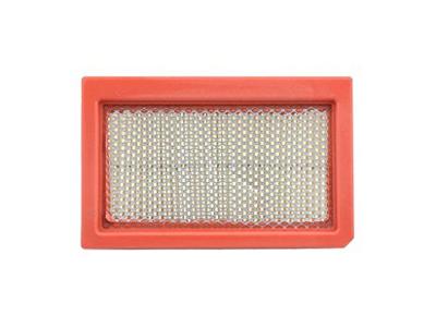 Tecnium Air filter 16756