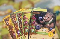 White Goblin Games everdell bordspel - thumbnail