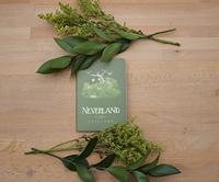 UPG Notitieboek - Neverland Paspoort - thumbnail