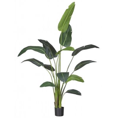 Kunstplant Strelitzia XL