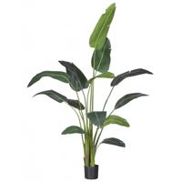 Kunstplant Strelitzia XL - thumbnail