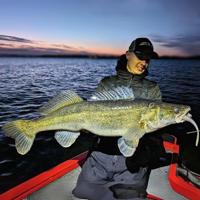 Monkey Lures Stalking Lui 25cm 1st. Carpe Nostra - thumbnail