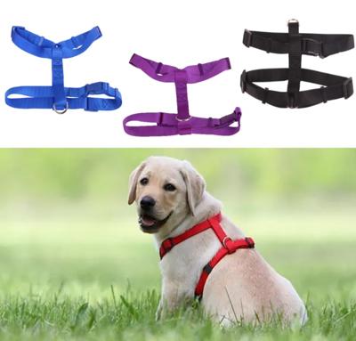 Nobleza H-Tuigje kleine hond - Nylon - Maat XS