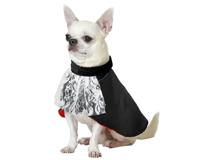 Kostuum voor honden Vampier Maat S - thumbnail