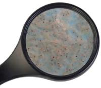 Superfish levende witte muggelarven 90ml - thumbnail