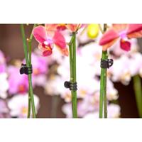 Nature orchidee clips 10 stuks - thumbnail