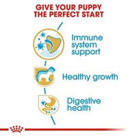 Royal Canin Jack Russel Terrier voer voor puppy 1.5kg - thumbnail