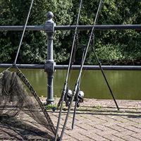 Avid Lok Down 2 Rod Buzz Pod - thumbnail
