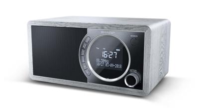 SHARP DR450 digitale radio (DAB/DAB+/FM met RDS, Bluetooth, wekkerfuncties, 6 watt), grijs