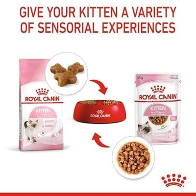 Royal Canin Kitten kattenvoer Natvoer (12x85g) - thumbnail