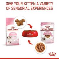 Royal Canin Kitten natvoer kat (in saus) 2 dozen (24 x 85 g) - thumbnail