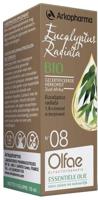 Olfae Eucalyptus radiata 08 bio 10 Milliliter - thumbnail