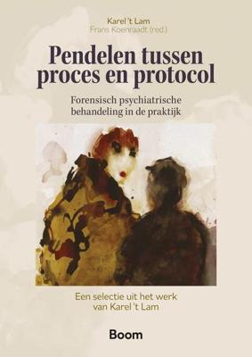 Pendelen tussen proces en protocol - Karel 't Lam - ebook