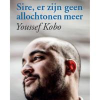 Sire, er zijn geen allochtonen meer - thumbnail