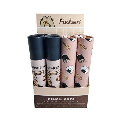 Union Pusheen de kat sushi club tekenkoker 12 kleurpotloden