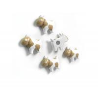 Trendform Magnetische Geit - set van 5 verschillende - thumbnail