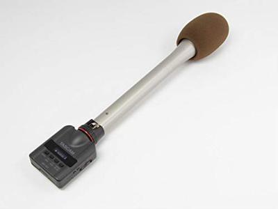 Tascam DR-10X Digitale recorder