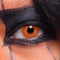 Partylenzen Pompoen 1 Week - thumbnail