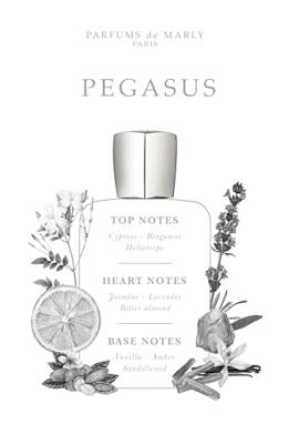 Parfums de Marly Pegasus Eau de Parfum 125ml