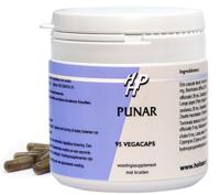 Holisan Punar Capsules 95st - thumbnail