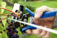 Rapid C85 Hogringen, 5.000 stuks - 40107761 - 40107761 - thumbnail