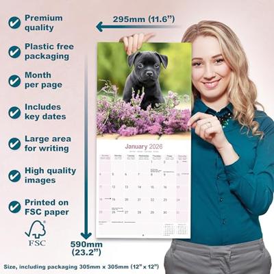 Staffordshire Bull Terrier Calendar 2026 Square Dog Breed Wall Calendar - 16 Month