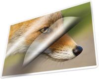 Kangaro K-16006 Lamineerhoes 125 Micron 100 Vel 154x216mm - thumbnail