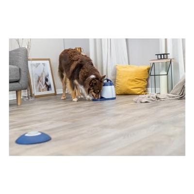 Trixie dog activity memory trainer 3.0