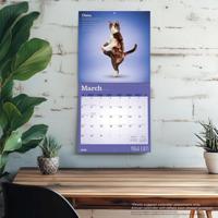 Yoga Cats Kalender 2026 - thumbnail
