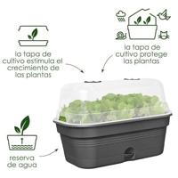 Elho green basics grow tray all-in-1 leaf green 39 - thumbnail