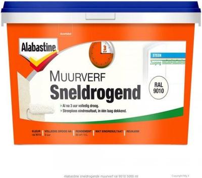 Sneldr. muurverf ral9010 5l Alabastine - Alabastine Sneldr. muurverf ral9010 5l Alabastine - Alabastine