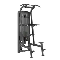Toorx Professional ABSOLUTE - Assist Pull up/Dip PLX-8400 - thumbnail