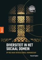 Diversiteit in het sociaal domein (Paperback) - thumbnail