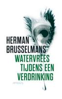 Watervrees tijdens een verdrinking - Herman Brusselmans - ebook - thumbnail