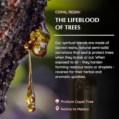 Aromafume Luchtverfrisser Spray Copal - 100 ml