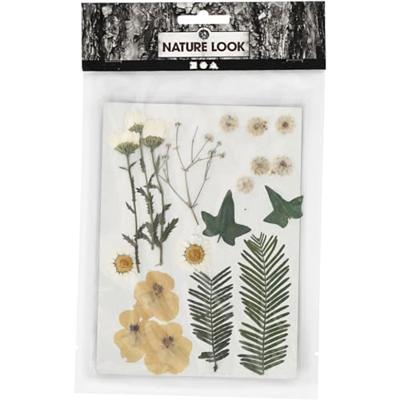 Creativ Company Gedroogde bloemen en bladeren off-white, 19dlg.
