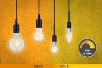 Paulmann 28779 LED-lamp Energielabel E (A - G) E27 7 W (Ø x h) 95 mm x 140 mm 1 stuk(s) - thumbnail