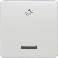 Siemens 5TG7926 1-voudig Zilver Schakelmateriaal 1 stuk(s)